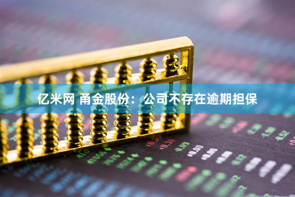 亿米网 甬金股份：公司不存在逾期担保