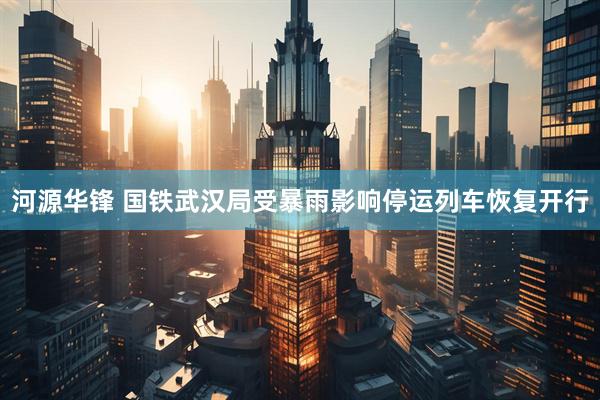 河源华锋 国铁武汉局受暴雨影响停运列车恢复开行