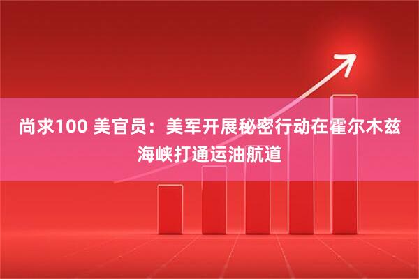 尚求100 美官员：美军开展秘密行动在霍尔木兹海峡打通运油航道